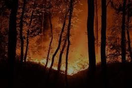 uitslaande veenbrand